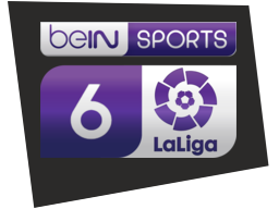 beinlm6