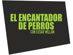 canalelencantadordeperros