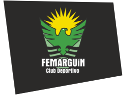 cdfemarguin.png
