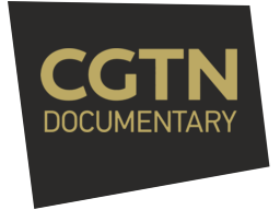 cgtndoc