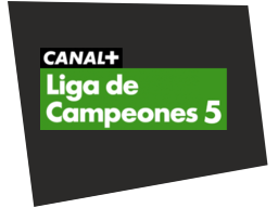 cpligacamp5