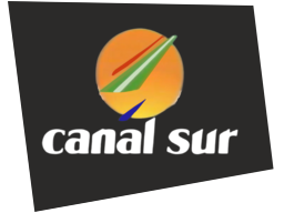 csur1989