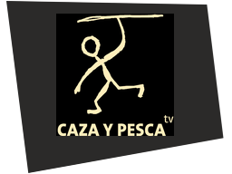 cyp2003
