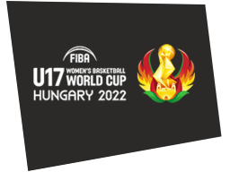 fibau17chfem2022