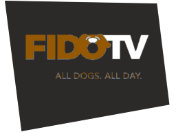 fidotv