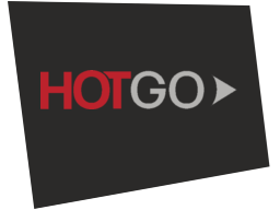 hotgo