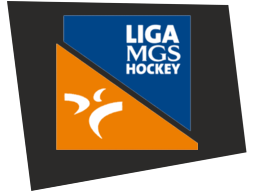 ligahockeyhierba2022