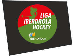 ligahockeyhierbafem2023