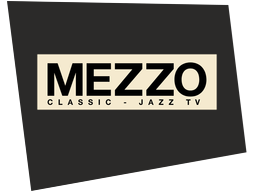 mezzo2008