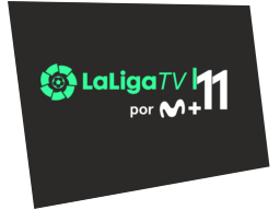 mllm11