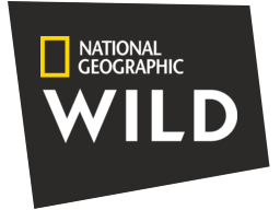 ngwild