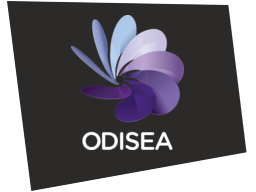 odisea2011