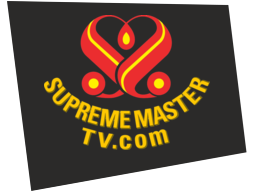 smtv